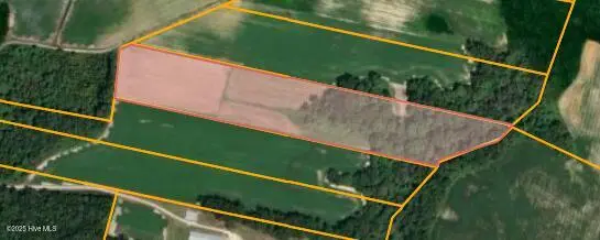 Parcel 2 Thunder Swamp Road, Mount Olive, NC 28365 – photo 1 of 1: Screenshot 2025-11-18 at 12-36-35 Wayne