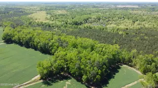 Off Speights Chapel Road, Whitakers, NC 27891 – photo 4: DJI_0572