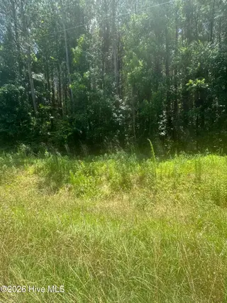 Near 721 Joe Piver Road, Chadbourn, NC 28431 – photo 6: IMG_0185