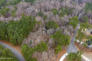 102 Ramsgate Court, Seven Lakes, NC 27376 – photo 6: DJI_20260225093209_0085_D-1A