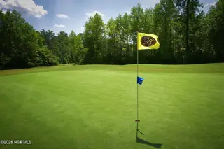660 Chimney Hill Way, Rocky Mount, NC 27804 – photo 3: 18-hole championship golf course