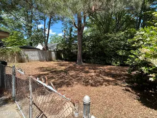406 Rountree Street W, Wilson, NC 27893 – photo 4: Backyard