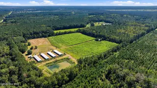 6655 Myrtlehead Road NW, Ash, NC 28420 — lot, Ash, NC, photo 14 of 24: 6655_myrtle_head_rd_011