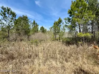 0 15 Guinea Mill Road, Ernul, NC 28527 – photo 19: IMG_1830
