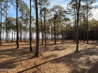 0 Norfleet Shores Road, Belhaven, NC 27810 – photo 19: IMG_0819 2