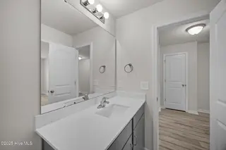 2905 Essex Street, Tarboro, NC 27886 – photo 10: Downstairs Bath pic 2
