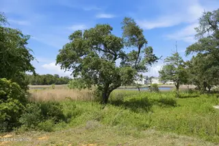 647 Cannonsgate Drive, Newport, NC 28570 – photo 7: Live Oak on property