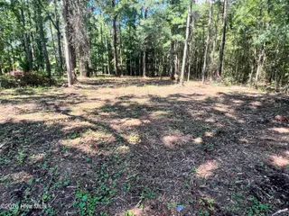 Lot 1 Elm Street, Belhaven, NC 27810 – photo 7: IMG_7299