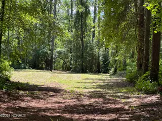 279 Mill Creek Lane, Bath, NC 27808 – photo 10: IMG_4332