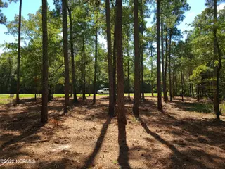 6 Ashton Drive, Bath, NC 27808 – photo 20: 20220818_135604