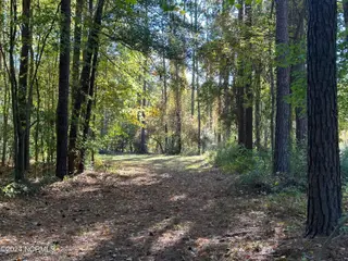 279 Mill Creek Lane, Bath, NC 27808 – photo 12: 001