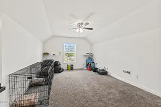 231 Holly Grove Court E, Jacksonville, NC 28540 – photo 24: Frog