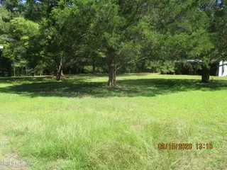 7625 Wheat Swamp Road, Lucama, NC 27851 – photo 13: 7625 Wheat Swamp yard1-6