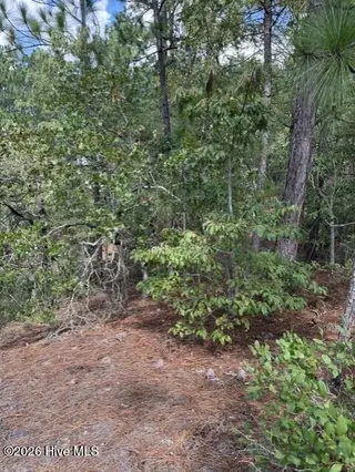 106 Parker Court, West End, NC 27376 – photo 9: 8