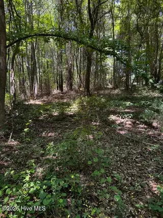 Lot 1 Dan Road, Robbins, NC 27325 – photo 6: 5