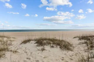 233 Sea Dreams Drive, Atlantic Beach, NC 28512 – photo 18: dunes