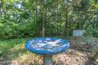 3 Dogwood Court, Greenville, NC 27858 – photo 14: 14