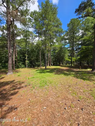 103 Edinburgh Drive, Carthage, NC 28327 — 3-bedroom home in Dundee Estates, Carthage, NC, photo 8 of 36