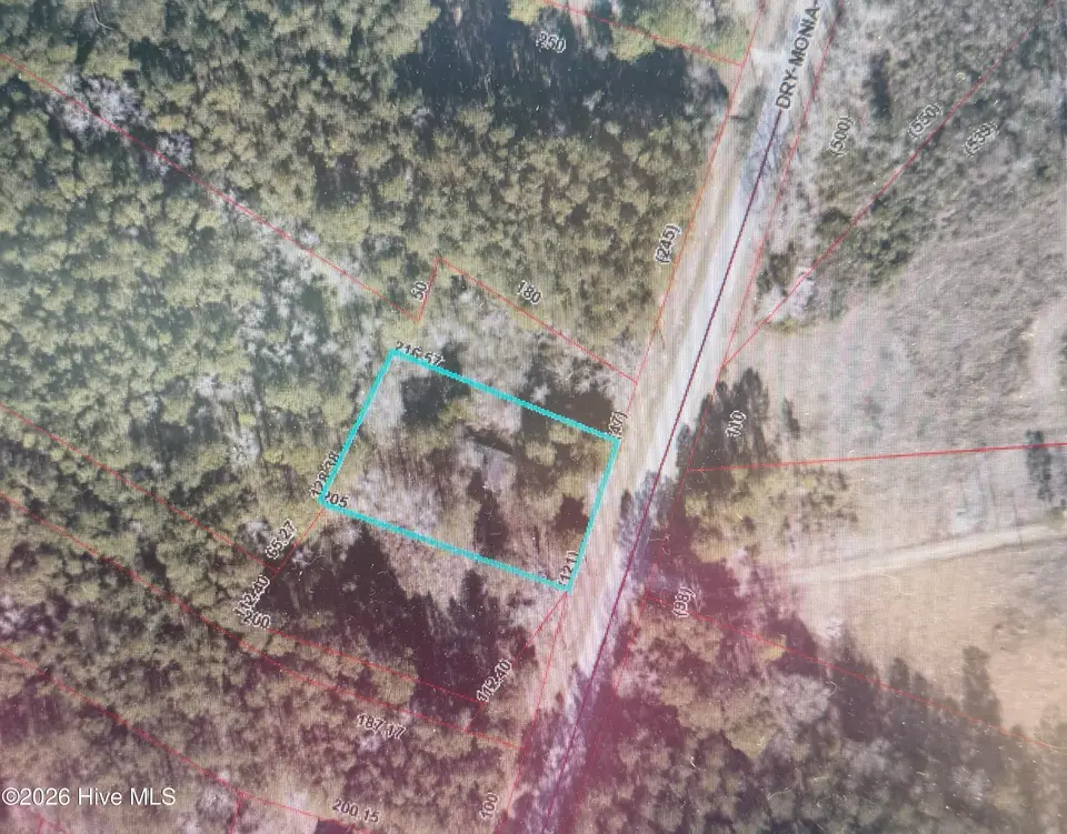 809 Dry Monia Road, New Bern, NC 28562 – photo 1 of 9: Land-GIS