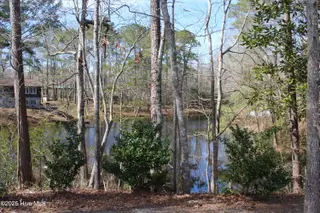 4507 Rivershore Drive, New Bern, NC 28560 – photo 5: view 1 of the pond