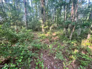 Lot 2 & 3 Strawhorn Creek Road, Aurora, NC 27806 – photo 12: IMG_6860