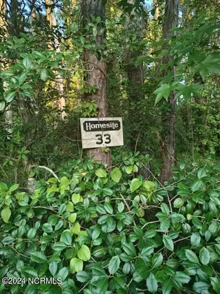 33 33 Mixon Creek Drive, Bath, NC 27808 – photo 4: IMG_3795