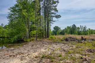 935 3 Mcgill Road, Vass, NC 28394 – photo 8: 935 MCGILL RE-EX-4