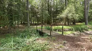 5349 A Pridgen Road, Elm City, NC 27822 – photo 7: Trail bridge
