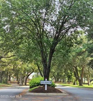2031 Greenside Manor Drive SW L-16, Ocean Isle Beach, NC 28469 – photo 20: Trees (2)