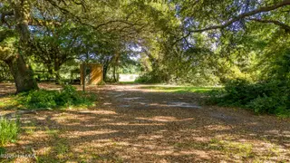 1559 Nc-24, Newport, NC 28570 – photo 13: Beautiful Oaks