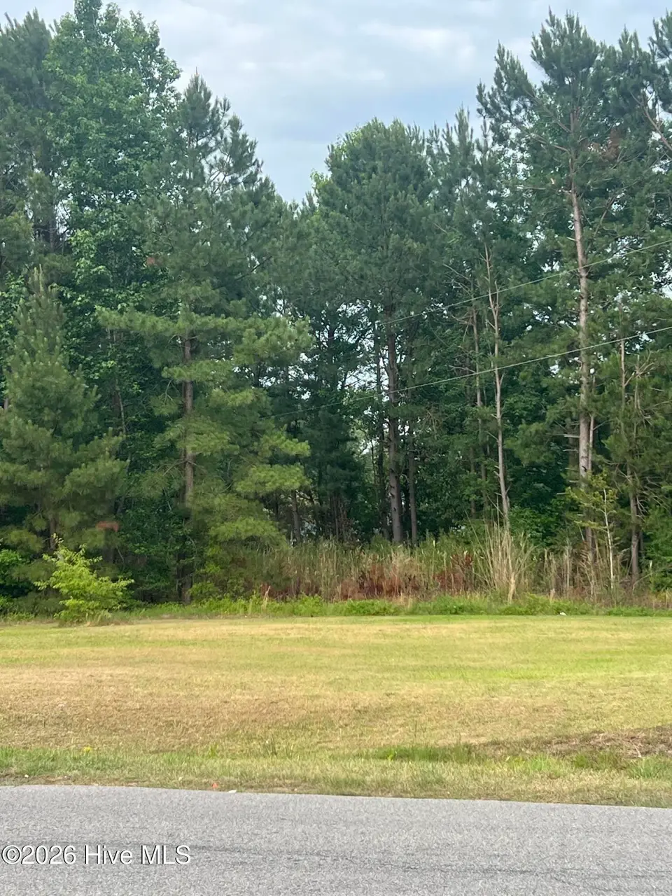 508 Strickland Drive, Princeville, NC 27886 – photo 1 of 8: IMG_0846