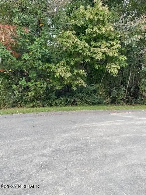 5 62 Raintree Court, Pinehurst, NC 28374 — lot in Pinehurst No. 6, Pinehurst, NC, photo 1 of 4: Liberta 2