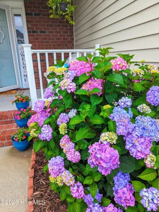440 Meadowlark Drive, Winterville, NC 28590 – photo 2: IMG_20260910_133558