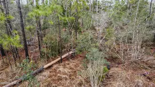 00 Old North River Road, Beaufort, NC 28516 – photo 7: 10_dji_0017