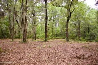 385 Sand Ridge Road, New Bern, NC 28560 – photo 13: IMG_4499
