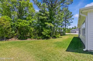 849 Tuscarora Trail, Jacksonville, NC 28546 – photo 21: Back Yard