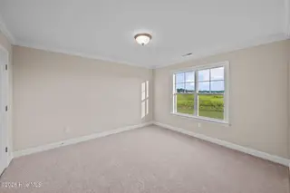 2712 Frances Court, Grimesland, NC 27837 – photo 19: 43-web-or-mls-DSC_5399