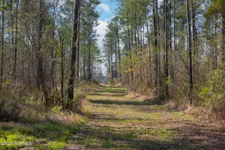 0 Nc-903, Stokes, NC 27884 – photo 3: Stokes Tract 8