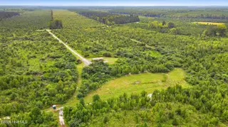 795 Pollard Swamp Road, Vanceboro, NC 28586 – photo 13: 13-print-DJI_0308 - edited