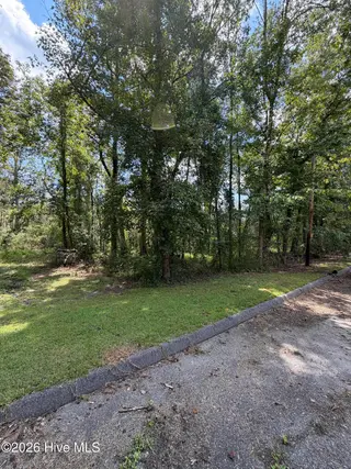 25852 Us-264 Highway E, Pantego, NC 27860 – photo 6: IMG_9190
