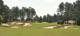 212 920 Meyer Farm Drive, Pinehurst, NC 28374 – photo 15: Screen Shot 2019-07-26 at 2.50.37 PM