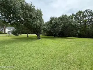 238 Old Nassau Road, Williston, NC 28589 – photo 11: Yard