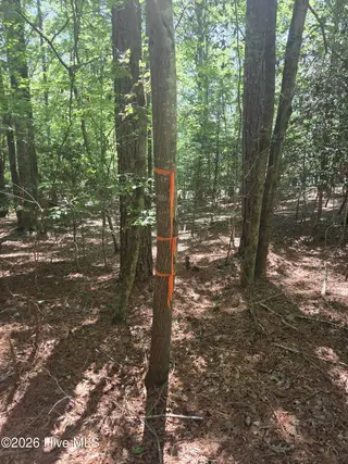 Lot 45b 45B Appaloosa Lake Drive, Carthage, NC 28327 – photo 7: 20260831_130020