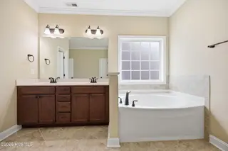 2204 Birch Hollow Drive, Winterville, NC 28590 – photo 14: owners primary bathroom soaking tub
