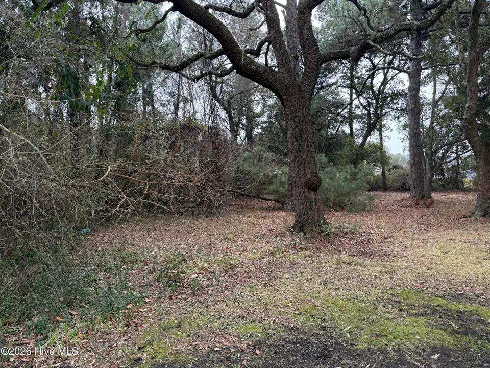 116 Willow Street, Beaufort, NC 28516 – photo 1 of 3: IMG_1804