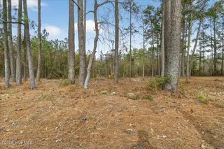 2162 Old Pamlico Beach Road W, Belhaven, NC 27810 – photo 4: 01-Finished 2162 Old Pamilco Beach Rd (1