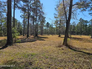 Lot 32 32 Bailey Pointe Drive, Belhaven, NC 27810 – photo 11: 20260319_124603