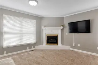 709 Small Drive, Elizabeth City, NC 27909 – photo 11: Fireplace