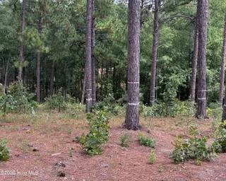 103 402 Haddington Drive, Pinehurst, NC 28374 – photo 14: IMG_5385