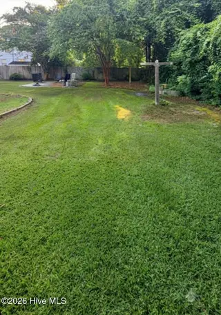 1210 Meadowood Drive, Kinston, NC 28501 – photo 7: Back yard